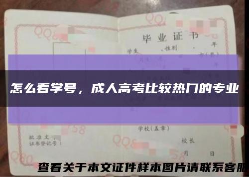 怎么看學號，成人高考比較熱門的專業縮略圖