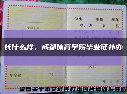 長什么樣，成都體育學院畢業證補辦縮略圖