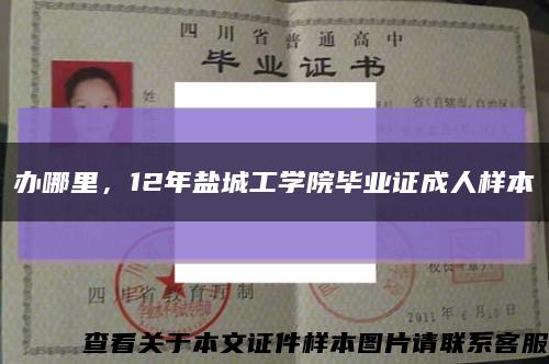辦哪里，12年鹽城工學院畢業證成人樣本縮略圖