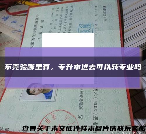 東莞驗哪里有，專升本進去可以轉專業嗎縮略圖