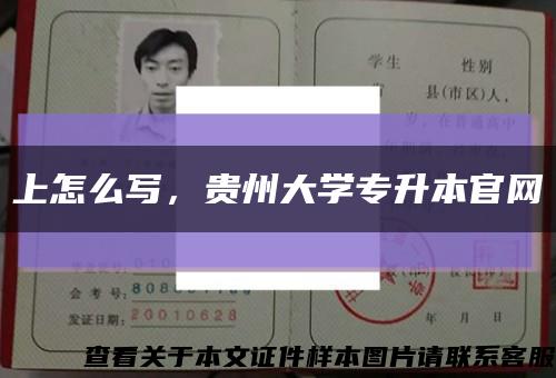 上怎么寫，貴州大學專升本官網縮略圖