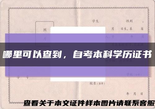 哪里可以查到，自考本科學歷證書縮略圖
