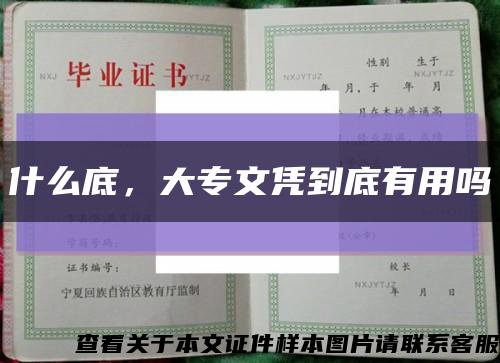 什么底，大專文憑到底有用嗎縮略圖