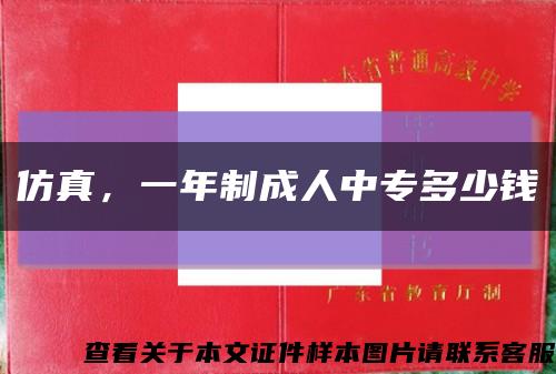 仿真，一年制成人中專多少錢縮略圖