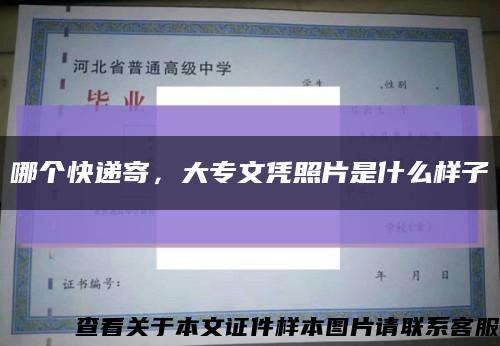 哪個快遞寄，大專文憑照片是什么樣子縮略圖