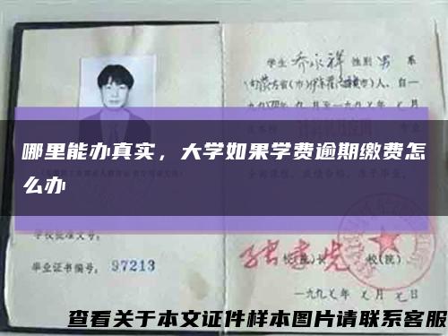 哪里能辦真實，大學如果學費逾期繳費怎么辦縮略圖