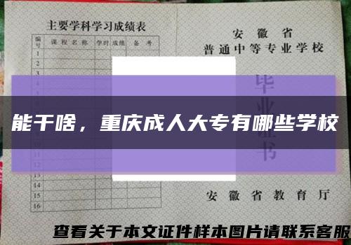 能干啥，重慶成人大專有哪些學?？s略圖