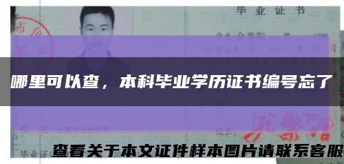 哪里可以查，本科畢業學歷證書編號忘了縮略圖