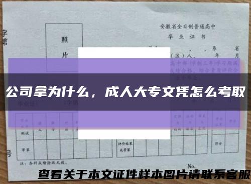 公司拿為什么，成人大專文憑怎么考取縮略圖
