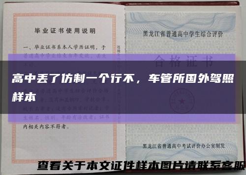高中丟了仿制一個行不，車管所國外駕照樣本縮略圖