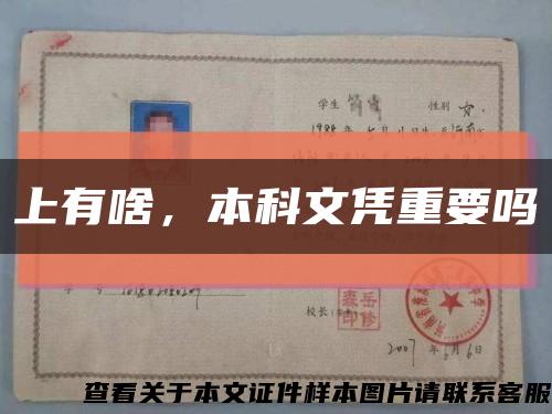 上有啥，本科文憑重要嗎縮略圖