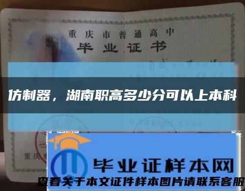 仿制器，湖南職高多少分可以上本科縮略圖