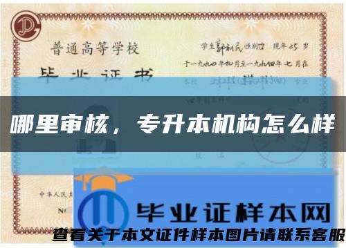 哪里審核，專升本機構怎么樣縮略圖