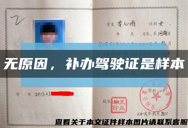 無原因，補辦駕駛證是樣本縮略圖