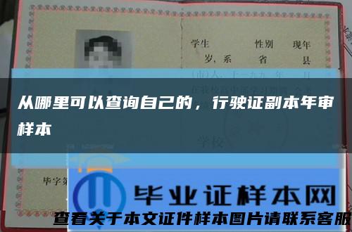 從哪里可以查詢自己的，行駛證副本年審樣本縮略圖