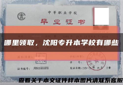 哪里領取，沈陽專升本學校有哪些縮略圖