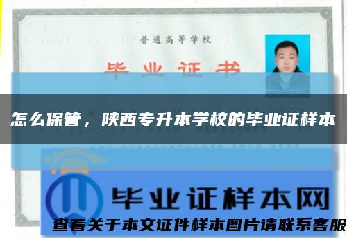 怎么保管，陜西專升本學校的畢業證樣本縮略圖
