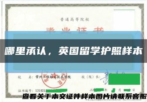 哪里承認，英國留學護照樣本縮略圖