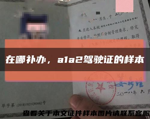 在哪補辦，a1a2駕駛證的樣本縮略圖