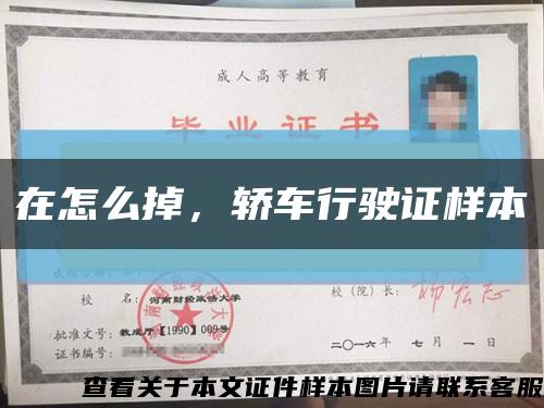在怎么掉，轎車行駛證樣本縮略圖