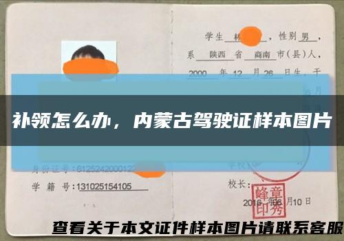 補領怎么辦，內蒙古駕駛證樣本圖片縮略圖