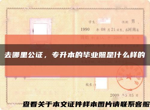 去哪里公證，專升本的畢業照是什么樣的縮略圖