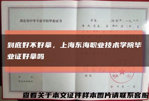 到底好不好拿，上海東海職業技術學院畢業證好拿嗎縮略圖