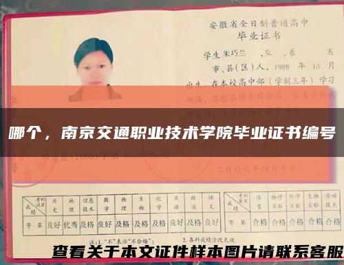 哪個，南京交通職業技術學院畢業證書編號縮略圖