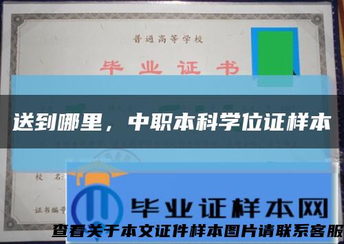 送到哪里，中職本科學位證樣本縮略圖