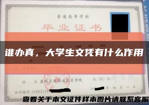 誰辦真，大學生文憑有什么作用縮略圖
