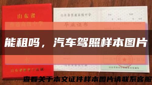 能租嗎，汽車駕照樣本圖片縮略圖
