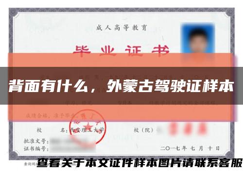 背面有什么，外蒙古駕駛證樣本縮略圖