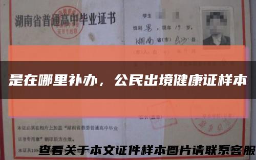 是在哪里補辦，公民出境健康證樣本縮略圖