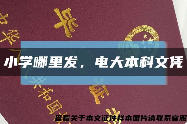 小學哪里發，電大本科文憑縮略圖