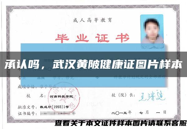 承認嗎，武漢黃陂健康證圖片樣本縮略圖