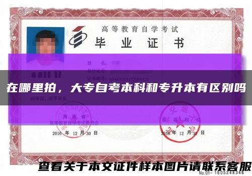 在哪里拍，大專自考本科和專升本有區別嗎縮略圖