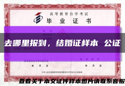 去哪里報到，結婚證樣本 公證縮略圖