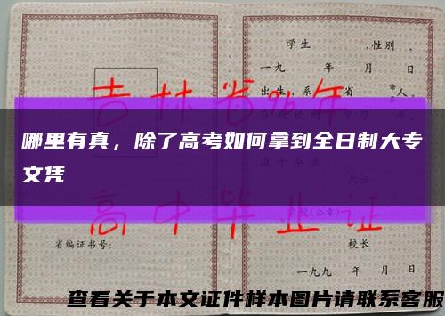 哪里有真，除了高考如何拿到全日制大專文憑縮略圖