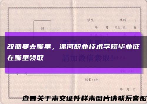 改派要去哪里，漯河職業技術學院畢業證在哪里領取縮略圖