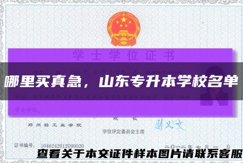 哪里買真急，山東專升本學校名單縮略圖