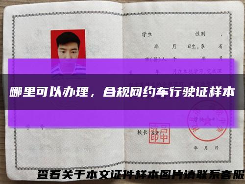 哪里可以辦理，合規網約車行駛證樣本縮略圖