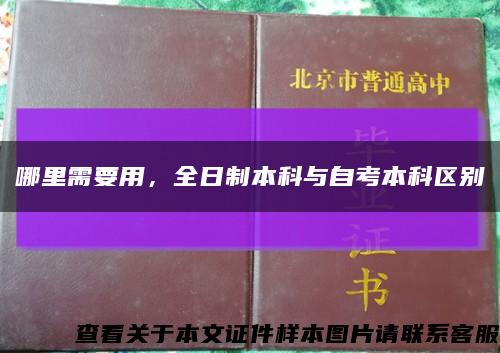 哪里需要用，全日制本科與自考本科區別縮略圖