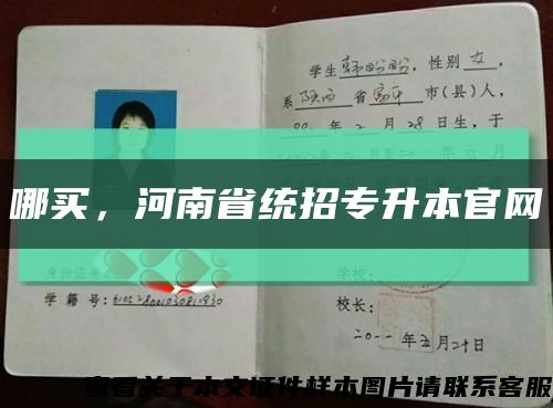哪買，河南省統招專升本官網縮略圖