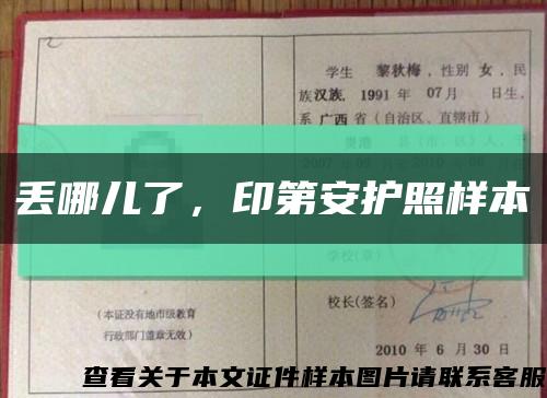 丟哪兒了，印第安護照樣本縮略圖