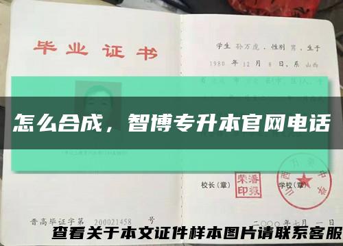 怎么合成，智博專升本官網電話縮略圖