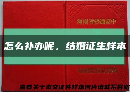 怎么補辦呢，結婚證生樣本縮略圖