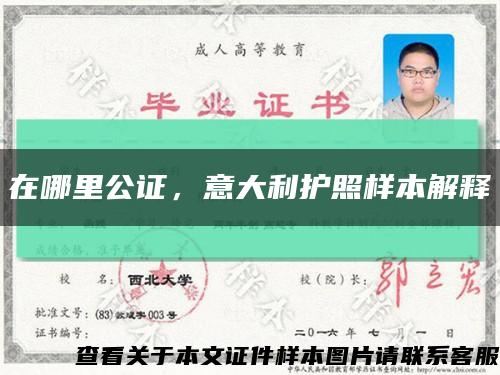 在哪里公證，意大利護照樣本解釋縮略圖