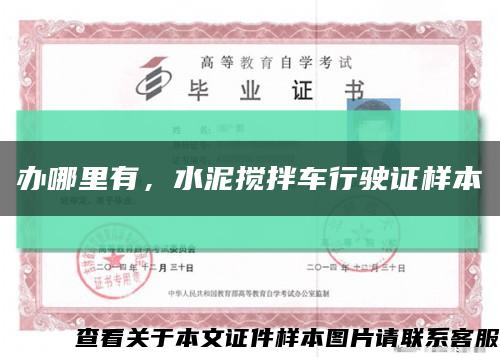 辦哪里有，水泥攪拌車行駛證樣本縮略圖