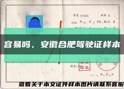 容易嗎，安徽合肥駕駛證樣本縮略圖