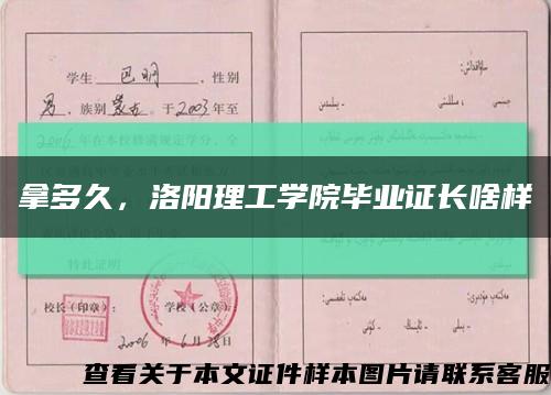 拿多久，洛陽理工學院畢業證長啥樣縮略圖